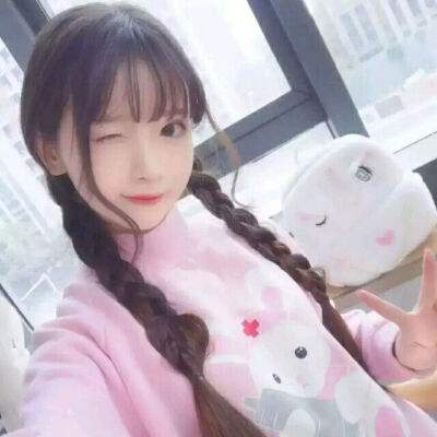 特勤姬甲队官方下载